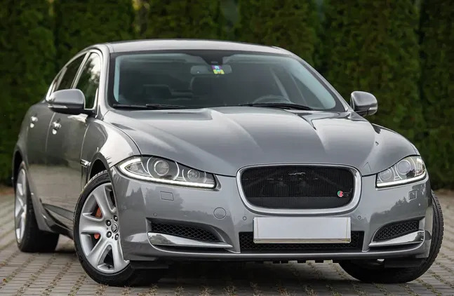 jaguar mazowieckie Jaguar XF cena 56900 przebieg: 177123, rok produkcji 2013 z Żmigród